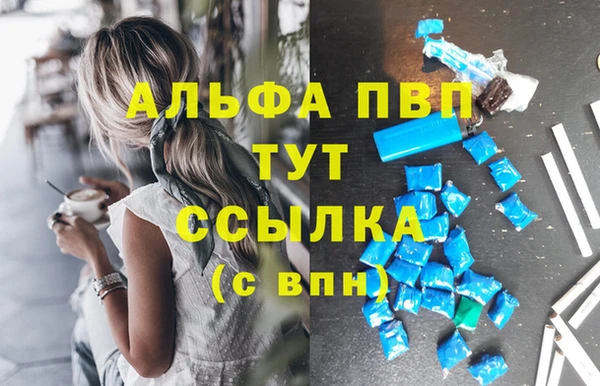 прущие грибы Медногорск