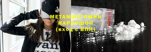 прущие грибы Медногорск
