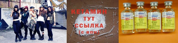 прущие грибы Медногорск