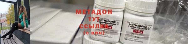 прущие грибы Медногорск
