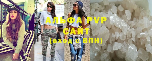 прущие грибы Медногорск