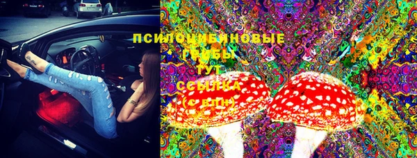 не бодяженный Магас