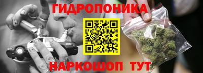 ПСИЛОЦИБИНОВЫЕ ГРИБЫ Заводоуковск
