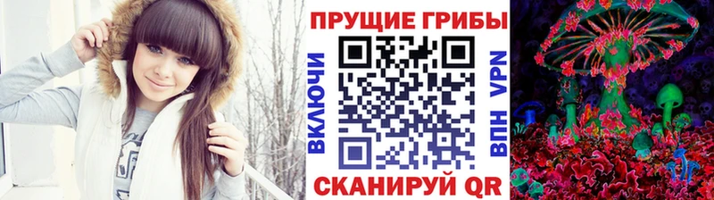 хочу наркоту  Пушкино  Галлюциногенные грибы Cubensis 