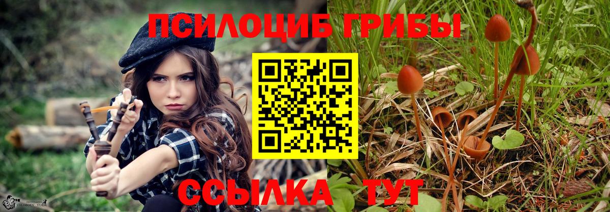 Галлюциногенные грибы Magic Shrooms  Вход с VPN  Пушкино  Галлюциногенные грибы GOLDEN TEACHER 